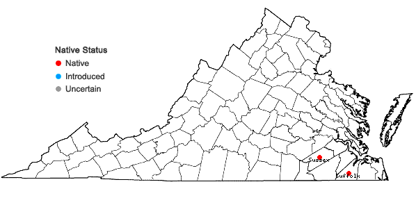 Locations ofPycnanthemum monotrichum Fern. in Virginia