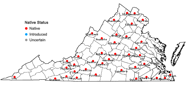 Locations ofPycnanthemum verticillatum (Michx.) Pers. in Virginia