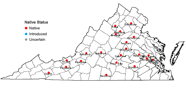 Locations ofPylaisia condensata (Mitt.) A. Jaeger in Virginia