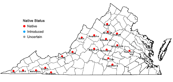 Locations ofPylaisia intricata (Hedw.) Schimp. in Virginia