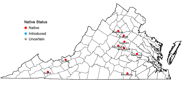 Locations ofPylaisia polyantha (Hedw.) Schimp. in Virginia
