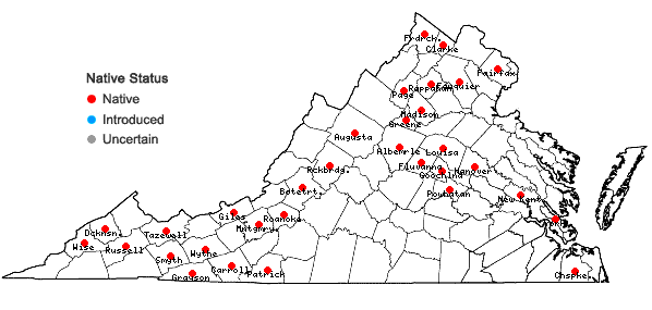 Locations ofPylaisiadelpha tenuirostris (Bruch & Schimp. ex Sull.) W.R. Buck in Virginia
