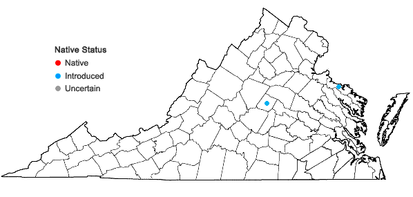 Locations ofPyracantha coccinea M. Roemer in Virginia