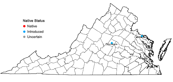 Locations ofPyracantha coccinea M. Roemer in Virginia