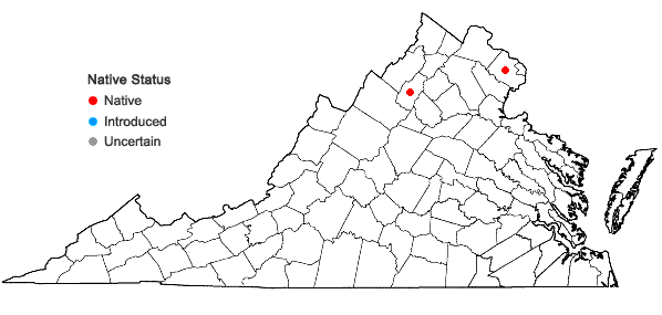 Locations ofPyrola chlorantha Sw. in Virginia