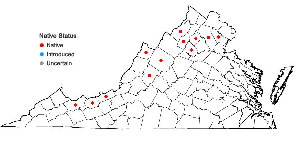 Locations ofPyrola elliptica Nutt. in Virginia