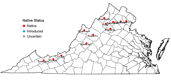 Locations ofPyrola elliptica Nutt. in Virginia