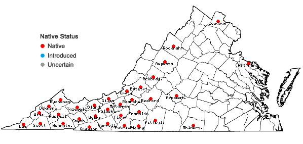 Locations ofPyrularia pubera Michx. in Virginia