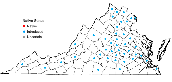 Locations ofPyrus calleryana Dcne. in Virginia