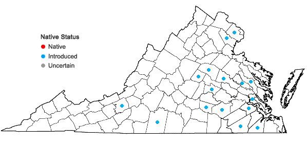 Locations ofPyrus pyrifolia (Burm. f.) Nakai in Virginia