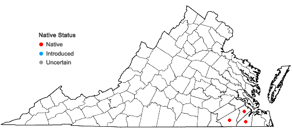 Locations ofPyxidanthera barbulata Michx. var. barbulata in Virginia