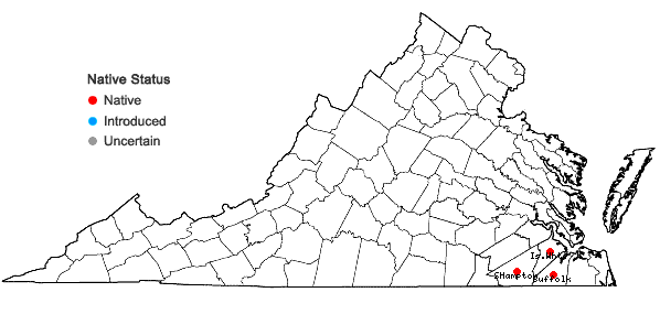 Locations ofPyxidanthera barbulata Michx. var. barbulata in Virginia