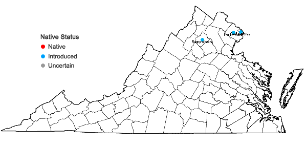 Locations ofQuercus acutissima Carruthers in Virginia