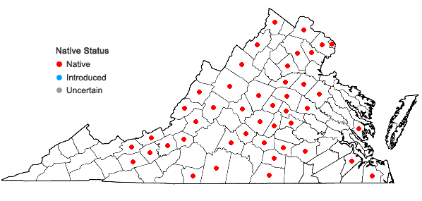 Locations ofQuercus bicolor Willdenow in Virginia
