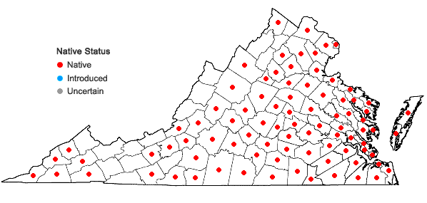 Locations ofQuercus falcata Michaux in Virginia