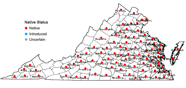 Locations ofQuercus falcata Michaux in Virginia