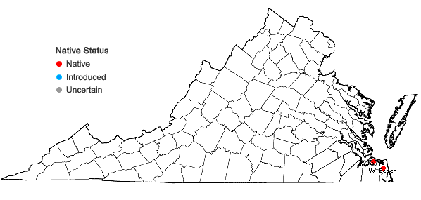 Locations ofQuercus hemisphaerica Bartram ex Willdenow in Virginia