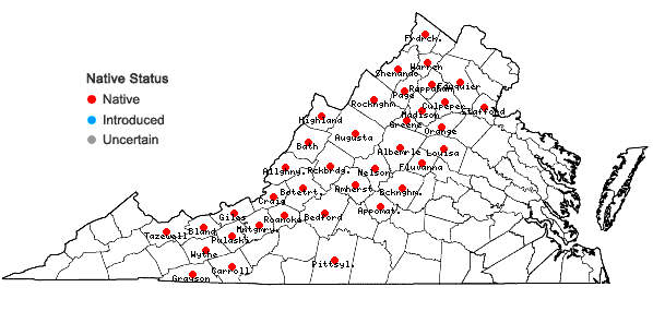 Locations ofQuercus ilicifolia Wangenheim in Virginia