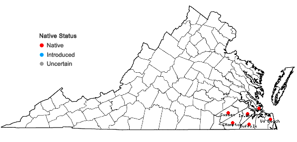 Locations ofQuercus incana W. Bartram in Virginia