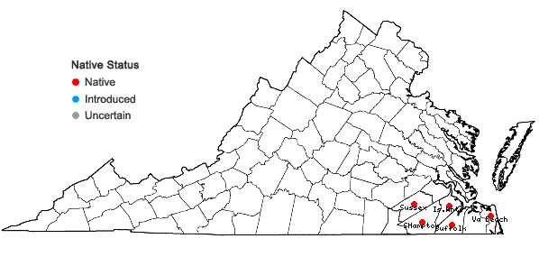 Locations ofQuercus laevis Walter in Virginia