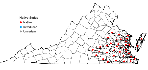 Locations ofQuercus nigra Linnaeus in Virginia