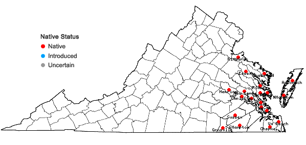 Locations ofQuercus pagoda Rafinesque in Virginia