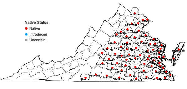 Locations ofQuercus phellos Linnaeus in Virginia