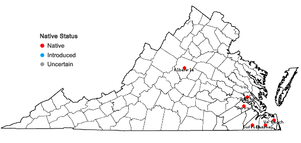 Locations ofRadula australis Austin in Virginia