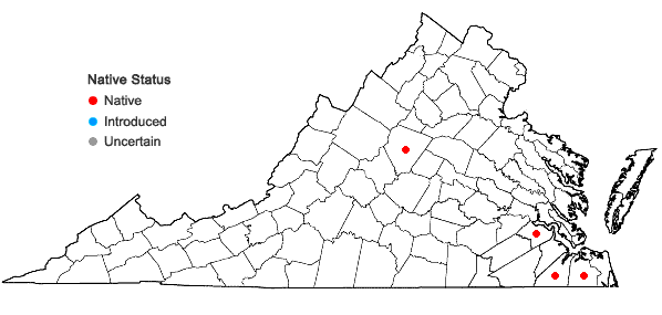 Locations ofRadula caloosiensis Austin in Virginia
