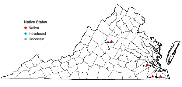 Locations ofRadula caloosiensis Austin in Virginia