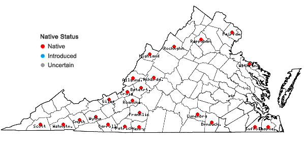 Locations ofRadula complanata (L.) Dumort. in Virginia