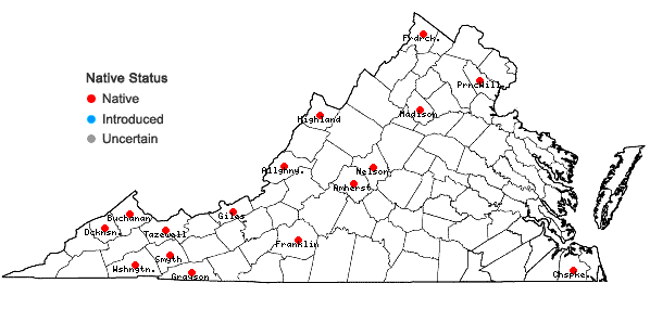 Locations ofRadula tenax Lindberg in Virginia