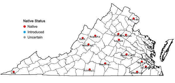 Locations ofRanunculus ambigens S. Wats. in Virginia