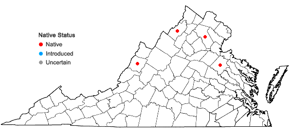 Locations ofRanunculus aquatilis L. var. diffusus Withering in Virginia