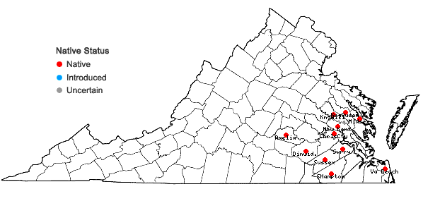 Locations ofRanunculus flabellaris Raf. in Virginia