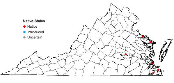 Locations ofRanunculus hederaceus L. in Virginia