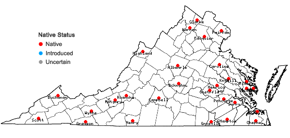 Locations ofRanunculus septentrionalis Poir. in Virginia