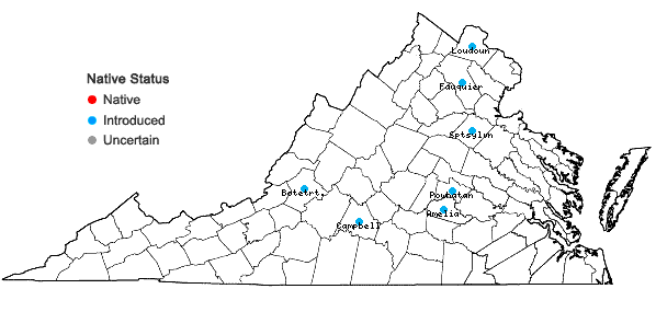 Locations ofRatibida pinnata (Vent.) Barnh. in Virginia