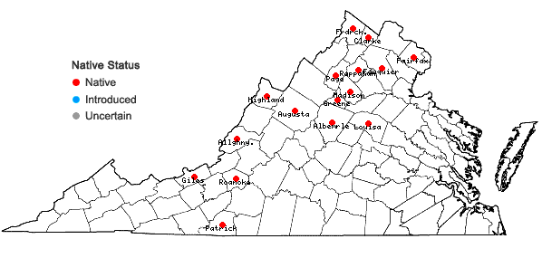 Locations ofRauiella scita (P. Beauv.) Reimers in Virginia