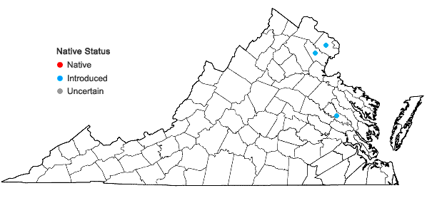 Locations ofReynoutria sachalinensis (F. Schmidt ex Maximowicz) Nakai in Virginia