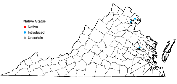 Locations ofReynoutria sachalinensis (F. Schmidt ex Maximowicz) Nakai in Virginia