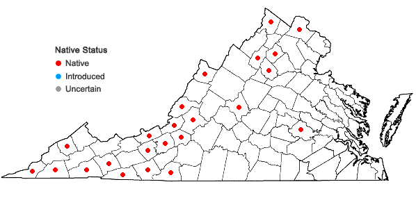 Locations ofRhabdoweisia crispata (Dicks. ex With.) Lindb. in Virginia