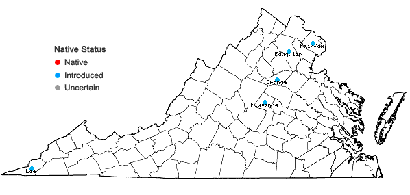 Locations ofRhamphospermum arvensis (L.) Al-Shehbaz in Virginia