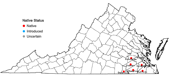 Locations ofRhexia petiolata Walt. in Virginia