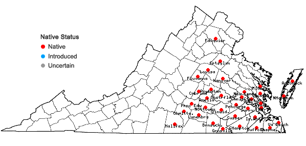 Locations ofRhexia ventricosa Fernald & Griscom in Virginia