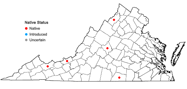 Locations ofRhizomnium magnifolium (Horik.) T.J. Kop. in Virginia