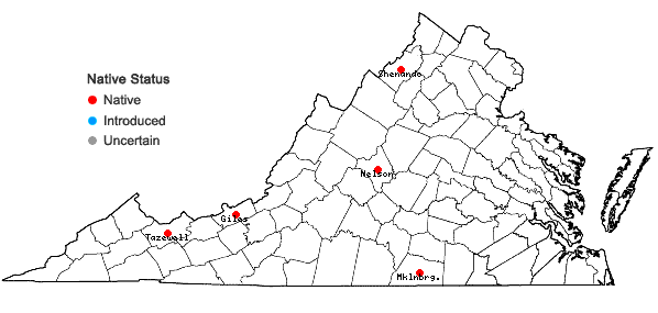Locations ofRhizomnium magnifolium (Horik.) T.J. Kop. in Virginia