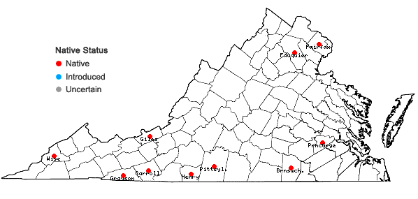Locations ofRhododendron arborescens (Pursh) Torrey in Virginia
