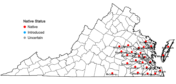 Locations ofRhododendron atlanticum (Ashe) Rehder in Virginia