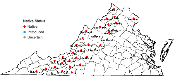 Locations ofRhododendron pilosum (Michx.) Craven in Virginia